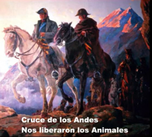 Cruce de los Andes – Nos liberaron los Animales – La Hora Vegana