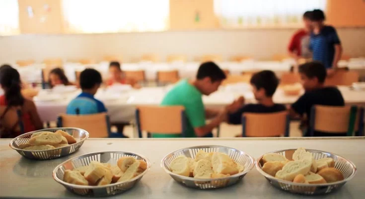 l_1731572487_15805-735x400-1