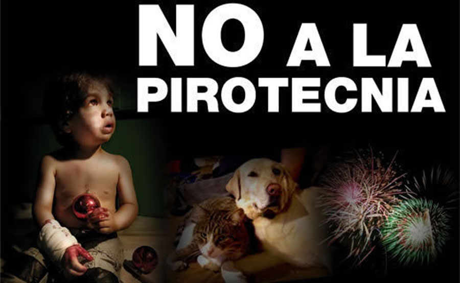 loMdQMPQBNYZSkS-800x450-noP