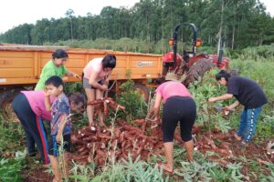 web-foto-20240322-AGRICULTURA-2