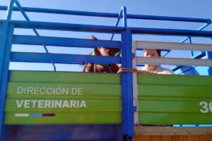 landscape_h__Gualeguaychu_1778166065