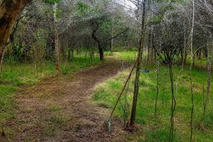 landscape_h__Gualeguaychu_1787320578