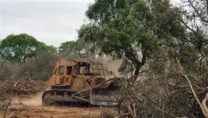 chaco desmonte